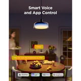 Govee Pendant Light verlichting Zwart