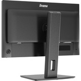 iiyama ProLite XB2497HSN-B1 23.8" monitor Zwart (mat), 100 Hz, HDMI, DisplayPort, USB-C, Audio, LAN