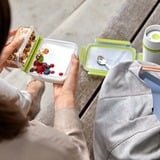 Emsa Clip & Go Snackbox 1,0 L     lunchbox Lichtgroen/transparant, met 2 extra inzetstukken