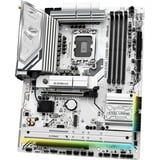 ASRock B860 Steel Legend WiFi socket 1851 moederbord RAID, Gb-LAN, WLAN, BT, Sound, ATX