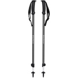 Black Diamond Trail Explorer 2 Trekking Poles Sport en spel 90 - 130 cm