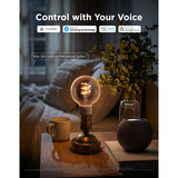Govee Edison Bulb G80 E27 (2-stuks) led-lamp Transparant, WiFi, Bluetooth