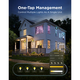 Govee Edison Bulb G80 E27 (2-stuks) led-lamp Transparant, WiFi, Bluetooth