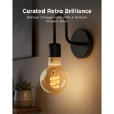 Govee Edison Bulb G80 E27 (2-stuks) led-lamp Transparant, WiFi, Bluetooth