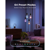 Govee Edison Bulb G80 E27 (2-stuks) led-lamp Transparant, WiFi, Bluetooth