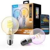 Govee Edison Bulb G80 E27 (2-stuks) ledlamp Transparant, WiFi, Bluetooth