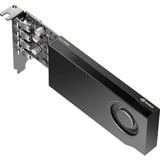 PNY RTX A1000 grafische kaart 4x mini-DisplayPort