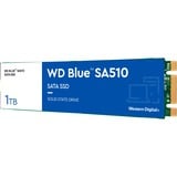 WD Blue SA510 1 TB SSD Blauw/wit, WDS100T3B0B, M.2 2280