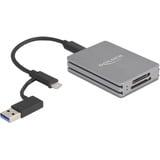 DeLOCK USB Type-C SD and CFexpress kaartlezer Grijs
