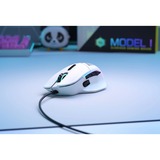 Glorious Model I gaming muis Wit, 100 - 19000 dpi, RGB leds