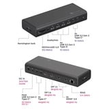 ICY BOX IB-DK7401-CU31 17-in-1 dockingstation Zwart