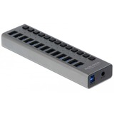 DeLOCK Delock Ext. SS USB Hub 13Ports +Schalter usb-hub 