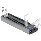 DeLOCK Delock Ext. SS USB Hub 13Ports +Schalter usb-hub 