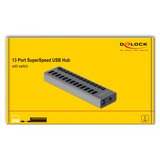 DeLOCK Delock Ext. SS USB Hub 13Ports +Schalter usb-hub 