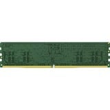 Kingston 8 GB DDR5-6400 werkgeheugen Groen, XMP 3.0, AMD EXPO