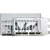 GIGABYTE AORUS GeForce RTX 5090 STEALTH ICE 32G grafische kaart 3x DisplayPort, 1x HDMI 2.1, DLSS 4