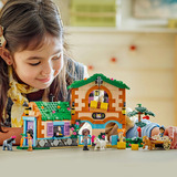LEGO  Constructiespeelgoed 