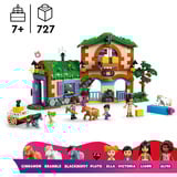 LEGO  Constructiespeelgoed 