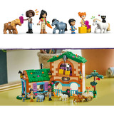 LEGO  Constructiespeelgoed 