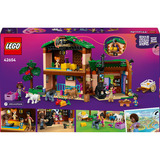 LEGO  Constructiespeelgoed 