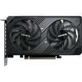 GIGABYTE GeForce RTX 5050 WINDFORCE OC 8G grafische kaart 2x DisplayPort, 2x HDMI 2.1, DLSS 4