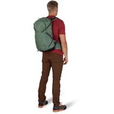 Osprey Sportlite 25 rugzak Olijfgroen, 25 Liter, M/L, Pine Leaf Green