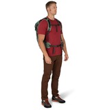 Osprey Sportlite 25 rugzak Olijfgroen, 25 Liter, M/L, Pine Leaf Green