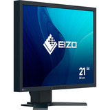 EIZO FlexScan S2134 21.3" monitor Zwart, DisplayPort, DVI-D, VGA, 2x USB-A, USB-B