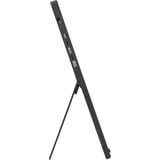 ASUS ZenScreen MB16FC 16" monitor Zwart, Mini-HDMI, 2x USB-C