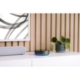 Athom Homey Pro (2026) basisstation Zwart