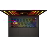 MSI Vector 17 HX AI (A2XWJG-057BE) 17"  gaming laptop Grijs | Core Ultra 9 275HX | RTX 5090 | 32 GB | 1 TB SSD | 240 Hz