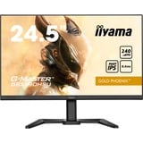 iiyama G-Master Gold Phoenix GB2590HSU-B5 24.5" gaming monitor Zwart (mat), 240Hz, HDMI, DisplayPort, USB, Audio, AMD Free-Sync