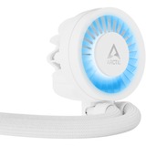 ARCTIC Liquid Freezer III 280 A-RGB waterkoeling Wit, 4-pins PWM