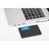 Crucial BX500 4 TB SSD Zwart, CT4000BX500SSD1, SATA/600, Retail