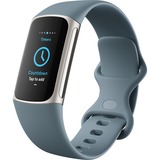 FitBit Charge 5 fitnesstracker Blauwgrijs/platina