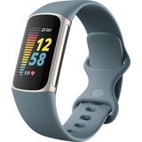 FitBit Charge 5 fitnesstracker Blauwgrijs/platina