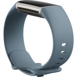 FitBit Charge 5 fitnesstracker Blauwgrijs/platina