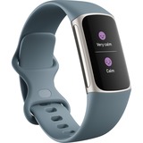 FitBit Charge 5 fitnesstracker Blauwgrijs/platina