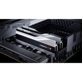 G.Skill 32 GB DDR5-6000 Kit werkgeheugen Zilver, F5-6000J3040F16GX2-TZ5S, Trident Z5, XMP