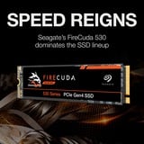 Seagate FireCuda 530 4 TB SSD ZP4000GM3A013, PCIe 4.0 x4, NVMe 1.4, M.2 2280