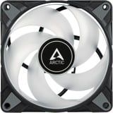 ARCTIC P14 PWM PST A-RGB case fans Zwart, 3 stuks, 140 x 140 x 27 mm