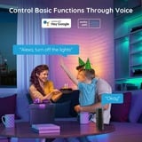 Govee H6110 RGB ledstrip 2x 5 meter, Wifi, Bluetooth