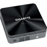 GIGABYTE BRIX GB-BRi5-10210E (rev. 1.0) barebone Zwart, 2.5G LAN, WLAN 6, BT, Geen OS