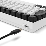 Sharkoon SKILLER SGK50 S2 RGB mechanisch gaming toetsenbord Wit, BE lay-out (AZERTY), Gateron Brown, 96%, Hot-swappable