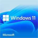 Microsoft Windows 11 Home software Frans