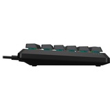 Corsair K55 CORE RGB gaming toetsenbord Grijs, BE lay-out (AZERTY), Rubberdome, 100%, RGB leds