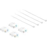 DeLOCK RJ-45 jack naar LSA Cat.6A STP keystone module 4 stuks