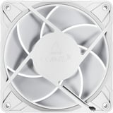 ARCTIC Arctic P12 Pro A-RGB wh case fan Wit