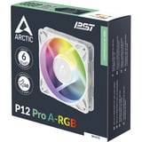 ARCTIC P12 Pro A-RGB case fan Wit
