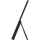 MSI PRO MP165 E6 15.6" monitor Zwart, 1x HDMI, 2x Type-C, Audio